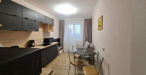 1-к квартира, на длительный срок, 42м2, 17/17 этаж