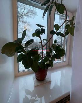 2-к квартира, на длительный срок, 44м2, 4/4 этаж