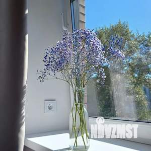 Студия квартира, посуточно, 28м2, 4/8 этаж