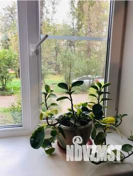 2-к квартира, посуточно, 51м2, 1/5 этаж
