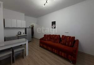 Студия квартира, на длительный срок, 21м2, 2/17 этаж