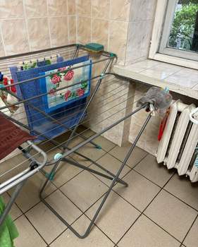 Студия квартира, на длительный срок, 25м2, 4/5 этаж