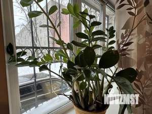 2-к квартира, вторичка, 60м2, 1/3 этаж